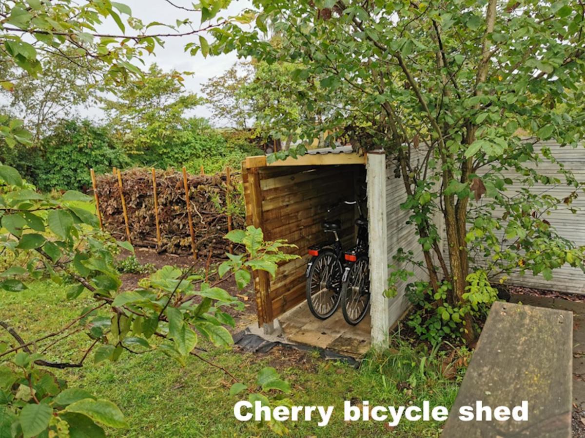 The Cherry Apartment - 'Den Gule Svane' Guest House Near Ronne & Beach Exterior foto